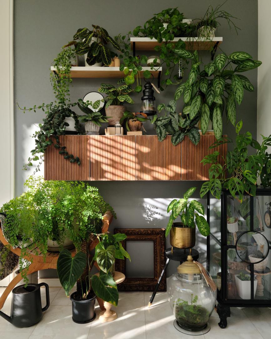 植物育成ライト専門店BARREL公式サイト